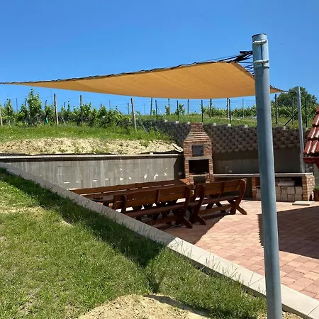 Dom wakacyjny Vinny Sklep U Ilciku Mutěnice